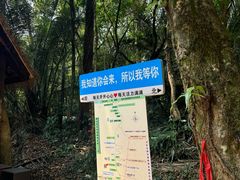 -七仙岭温泉国家森林公园