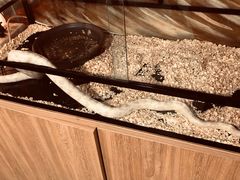 -藦茜花园宠物主题亲子互动体验馆(国顺东路店)