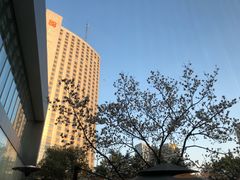 -上海虹桥宾馆味翠餐厅