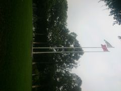 android_upload_pic-中山大学学者灵芝(园南路店)