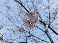 景点-静安雕塑公园