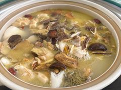 -山菌美食苑(振兴路店)