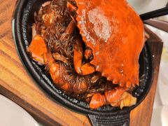 -新吉士·上海菜(浦东LCM置汇旭辉店)