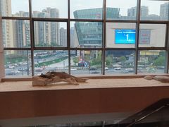 -江滨九号.中餐厅(滨江店)