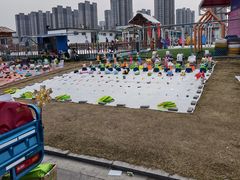 -江滩湿地公园