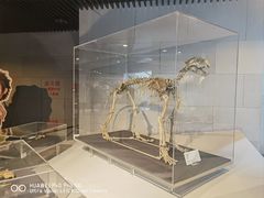 -周口店北京人遗址公园