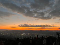 -长虫山生态公园风景林