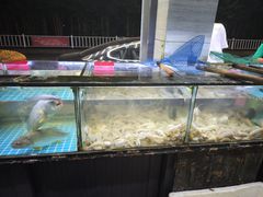 -金海湾海鲜排档(朱家尖店)