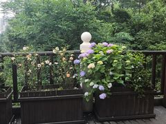 -耕渔小院·湖南鱼鲜(望城店)