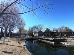 -三里河公园