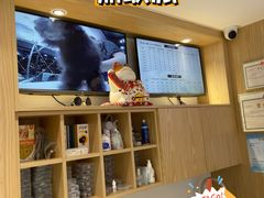-鼎级派宠物(中南店)