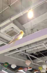 -Moni星球萌宠·小马宝莉·灵蛇·高端高阶全萌宠互动体验俱乐部(红豆国际广场店)