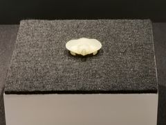 -盘龙城遗址博物院