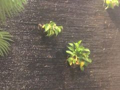 -勝記酒家·37年老字号·经典粤菜(荔枝公园店)