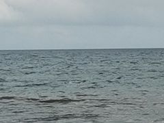 -源海渔村·现捞海鲜(大角湾店)