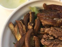 -潮双喜正宗澄海狮头鹅华利路店