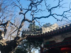 -恭王府博物馆