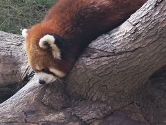 -南京金牛湖风景区