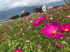 -七星潭蓝天广场