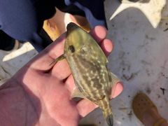 -东戴河风景区-止锚湾