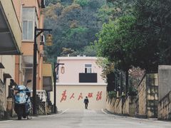 -枸杞岛
