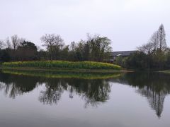 -杭州西溪宾馆-松露西餐厅