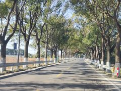 -七宝老街-停车场