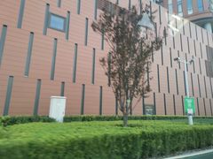 -中国宋庆龄青少年科技文化交流中心