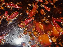 -二荆条·蜀鲜汇城市森林火锅