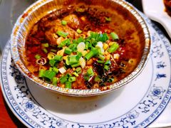 -老号尤兔头(幸福店)