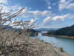 -广州市流溪河国家森林公园