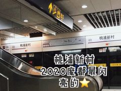 -桃浦新村(地铁站)