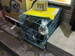 -阿清煲仔店(纺织城店)