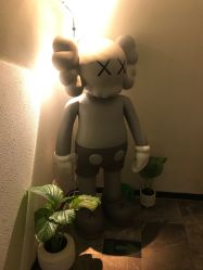 -玛莲朵·海菲秀冰珀科