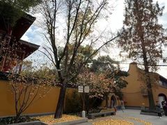 -龙华寺