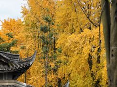 -宝光寺