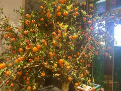-老滕家过桥米线(金鱼胡同店)
