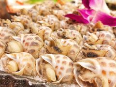-津菜宋记老房子(鼓楼店)