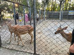 -长白岛森林公园