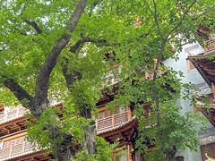 -大佛古寺