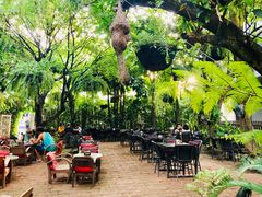 -Fern Forest Cafe
