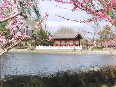 -西海子公园