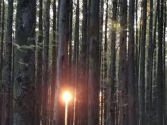 -山王坪喀斯特国家生态公园