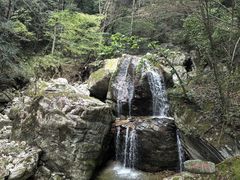 -牛背梁国家森林公园