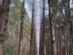 -同里国家湿地公园