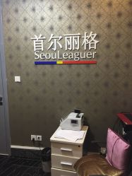-上海首尔丽格医疗美容医院