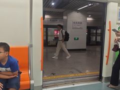 -杨高南路(地铁站)