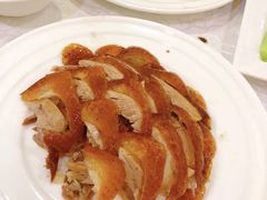 -津悦·正阳春烤鸭(红旗南路店)