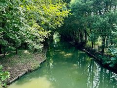 -同里国家湿地公园