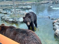 -北京野生动物园
